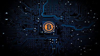 The Bitcoin “Bubble”